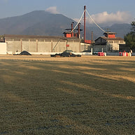 Barösta Kaffee  - Guatemala Huehuetenango Finca Calahute