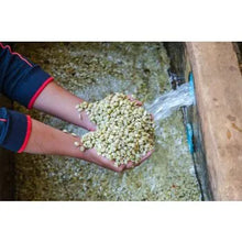 Barösta Kaffee - Honduras Copán CAFICO Farmer BIO