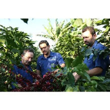 Barösta Kaffee - Honduras Copán CAFICO Farmer BIO