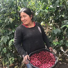 Barösta Kaffee  - Guatemala Huehuetenango Finca Calahute