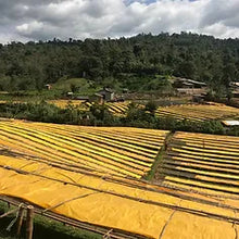 Barösta Kaffee - Ethiopia Sidamo