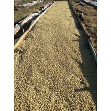 Barösta Kaffee - Kenia