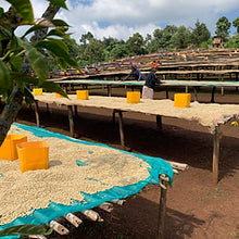 Barösta Kaffee - Ethiopia Sidamo