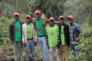Barösta Ethiopia Guji Grade 1 Tero Farm Dimtu